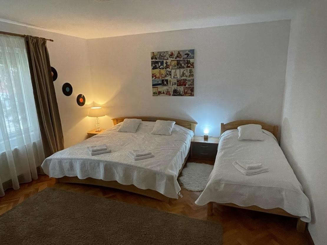 Crisan 40 Casa Muntean 100Mp 3Camere 3Paturi 1 Canapea 2 Dormitoare Parcare Timişoara Exterior foto